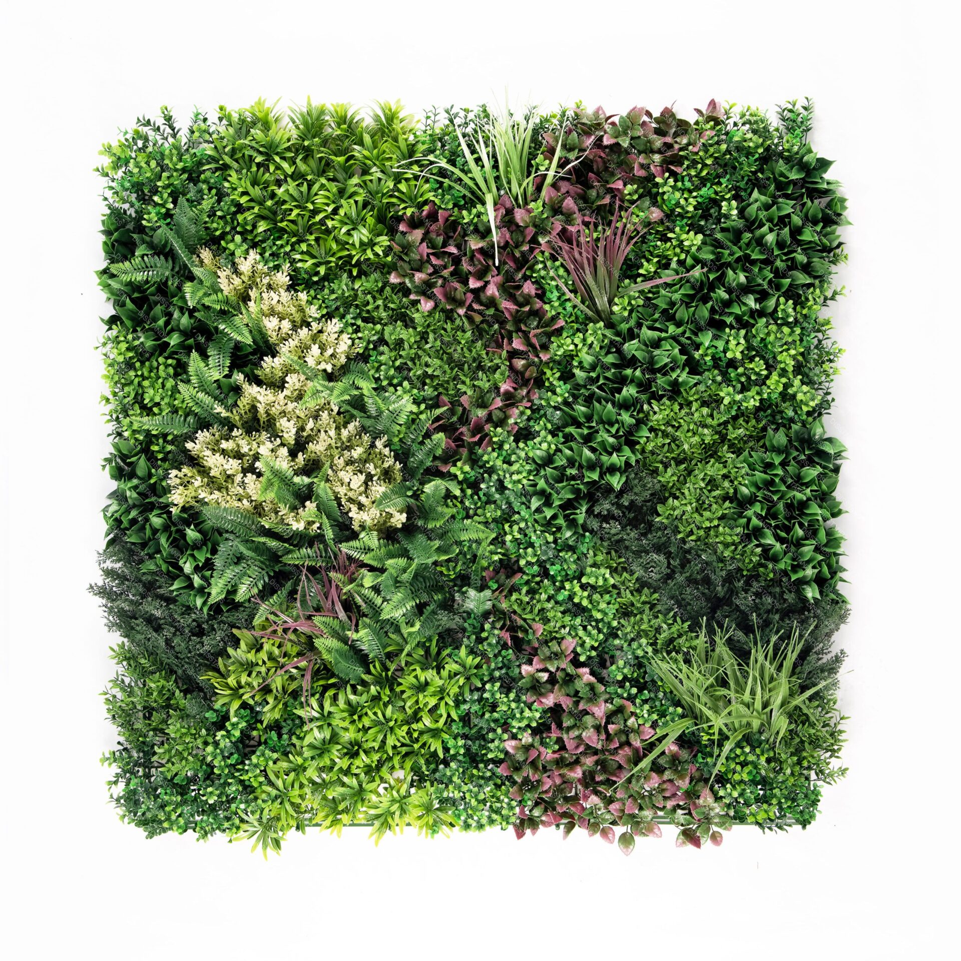 Jardin Vertical Tarandis - Estándar