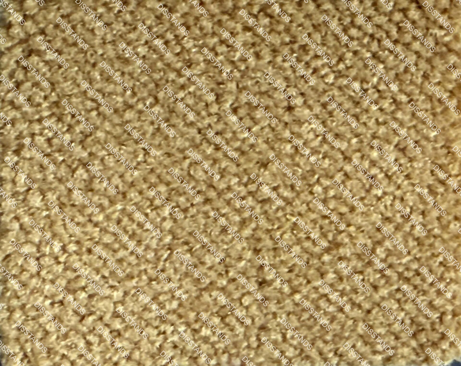 Ciervo (2405)