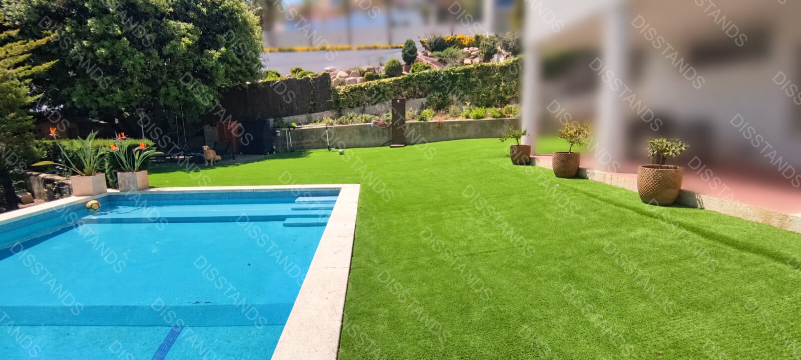 Césped Mondis 40MM - Jardín con piscina junto al porche