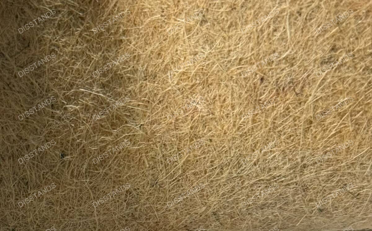 Foto real de la fibra de kenaf